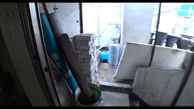 Работа в Корее, Нашли мумию кошки