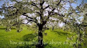 He Is Exalted // I Exalt Thee (Medley) | Sounds Like Reign