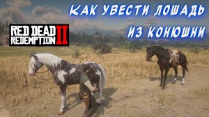 Red Dead Redemption 2  ► Как бесплатно получить  лошадь стоимостью 950 долларов