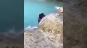 VID 20201213 WA0003 mp4