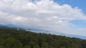 FPV полёт в Пицундском заповеднике на берегу моря