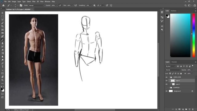 Adobe Photoshop Gesture Drawing and Figure Drawing 1 смотреть онлайн
