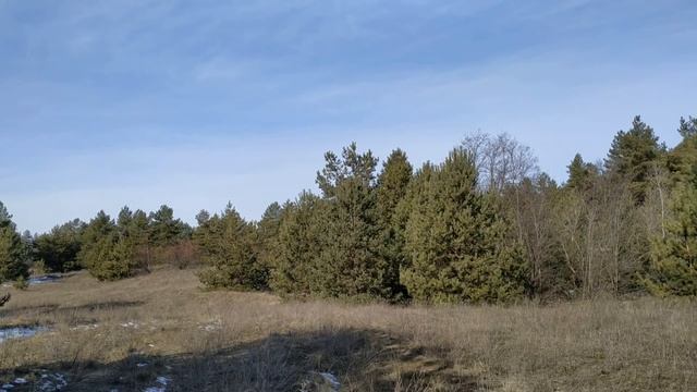 Новолуние в марте 2021. Что можно и нельзя делать. Фазы луны. Новая луна. Советы астрологов. смотреть онлайн