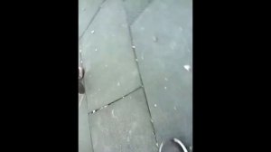учимся прыгать на КУЗНЕЧИКИ