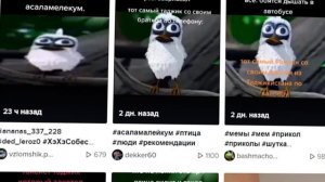 Белая птица кричит САЛАМ АЛЕЙКУМ — ОТКУДА МЕМ ?