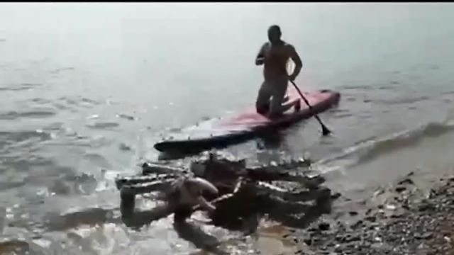 Если бы Это Существо Не Сняли На Камеру, Никто бы не Поверил | ПАРАЗОМБ #40 смотреть онлайн