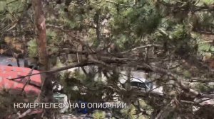 САМЫЙ БЮДЖЕТНЫЙ ОТДЫХ В КРЫМУ, КРЫМ, ПЕСЧАНОЕ, ОТЕЛЬ АРПАТ, ЦЕНЫ ЗА НОМЕР С ЗАВТРАКОМ.