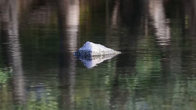 Музыка для спокойствия, снятия стресса и крепкого сна. смотреть онлайн