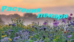 Растения лекари  К ним нужно только обратится.