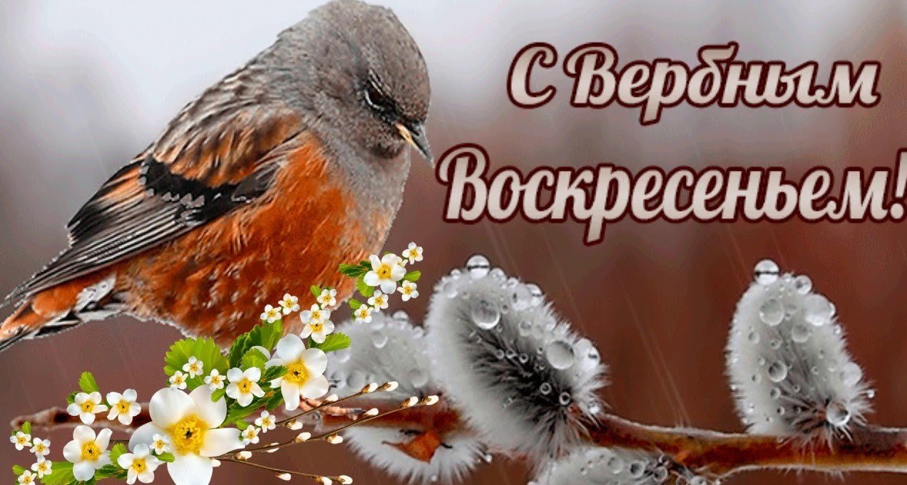 Красивое Поздравление! С Вербным Воскресеньем​!