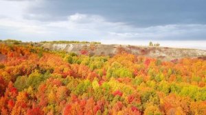 [4K UHD] Peaceful Autumn Music, Relaxing Music, Musical "September Song"