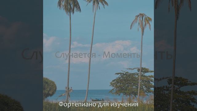 Дивный Кофейный магазин