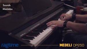 MEDELI DP250 - overview