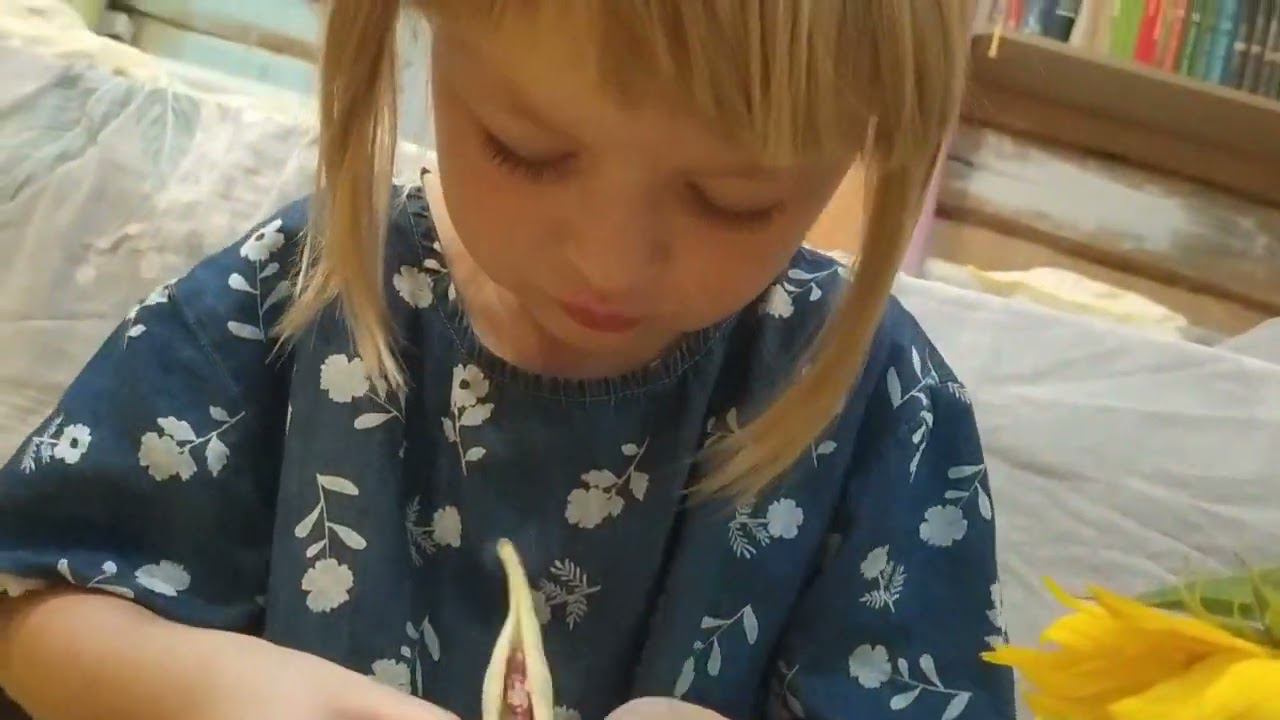 asmr #фасоль смотреть онлайн