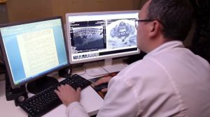 Что делать, если у собаки отказали задние лапы?