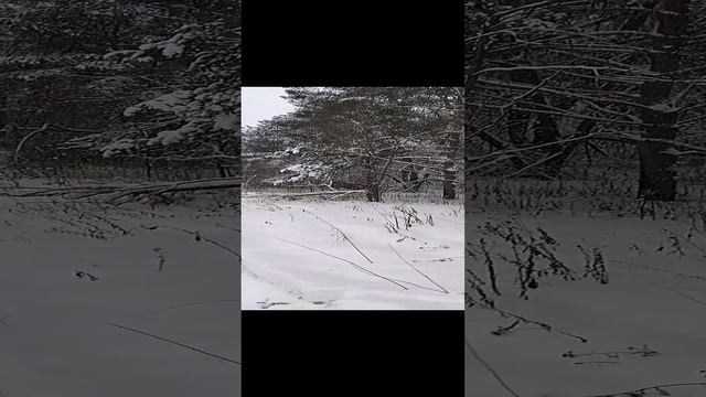 Что это за бетонное сооружение в лесу рядом с рекой Клязьма