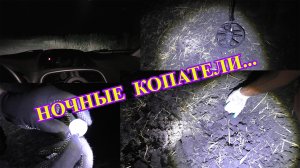 НОЧНЫЕ КОПАТЕЛИ В ДЕЛЕ!! Копатель ДИВ Кладоискатель