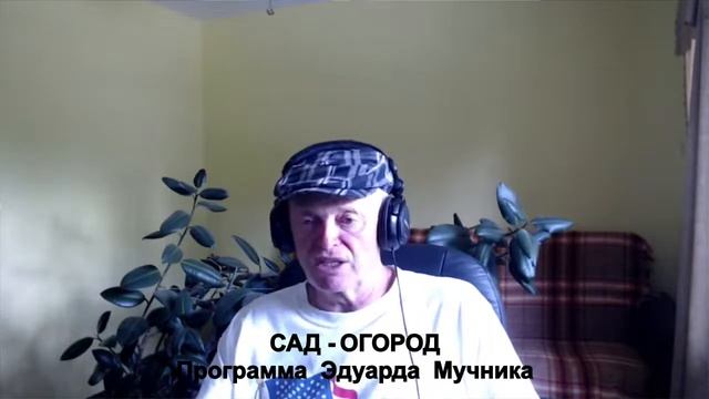 Дача в Америке. Чем больше, тем хуже: ошибки огородников; "непарные растения";  народные рецепты.
