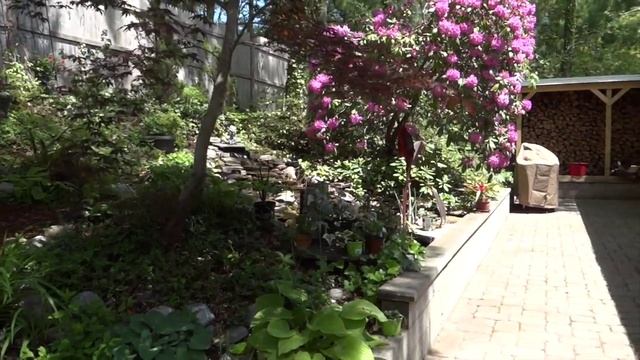 Пруд и Сад смотреть онлайн