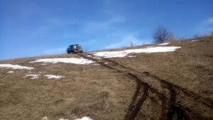 Нива может!