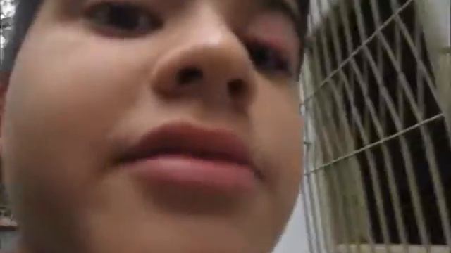 testando a camera nova do meu canal canon 16.0 mega pixels смотреть онлайн