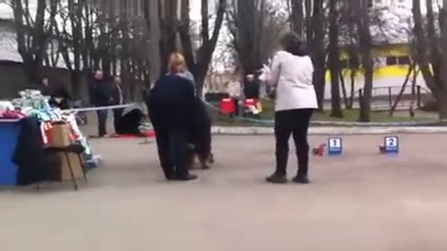 тибетский мастиф моно Тула 2016 смотреть онлайн