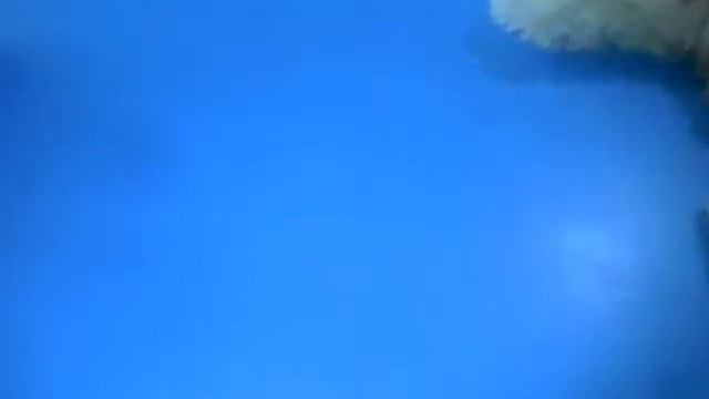 Мои любимые плюшевые игрушки😊 смотреть онлайн