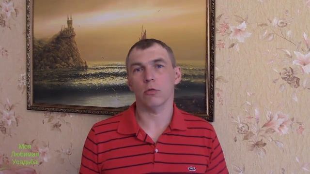 КАК ПОЛУЧАТЬ ЦЫПЛЯТ КАЖДУЮ НЕДЕЛЮ//МОЯ ЛЮБИМАЯ УСАДЬБА смотреть онлайн