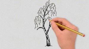 Как Нарисовать БЕРЁЗУ.