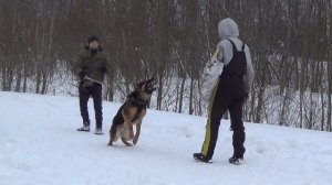 Денис и Байкал, фигурант Вадим Понгельский