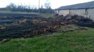 Трактор т 25 и отвал сдвигаем навоз (2021)