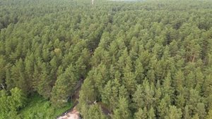 Кузбасский музей-заповедник Томская писаница в 4К