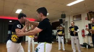 Back to (Capoeira) School - ACDP Australia