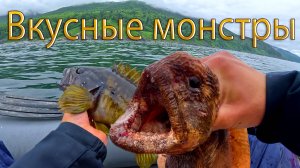 Мечта любого рыбака | Клюет как из аквариума