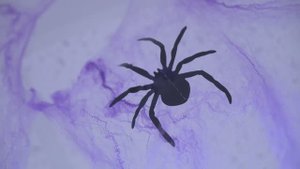 Эстель Halloween