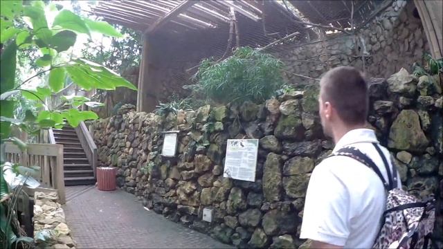 БИБЛЕЙСКИЙ ЗООПАРК в Иерусалиме ? СУПЕР ZOO смотреть онлайн