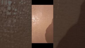 декоративная штукатурка кожа крокодила ?