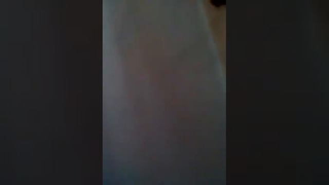 Ооотпооосо видеопамять элиди элиди Пусть это видео она посмотрит как у меня есть большой Заяц и пус смотреть онлайн