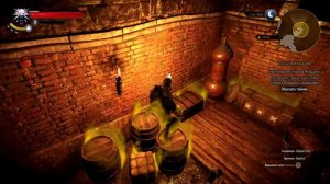 Witcher 3: Wild Hunt Обыскиваем укрытие Ублюдка Младшего