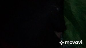 Отдых в Людиново , на озере Ломпадь !!!! Рыбалка , шашлыки , ночь , открытие рыбного сезона !!
