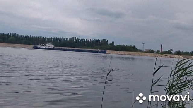 Наш отдых на судоходном канале Балаково #волга #отдыхнаВолге #рекаВолга