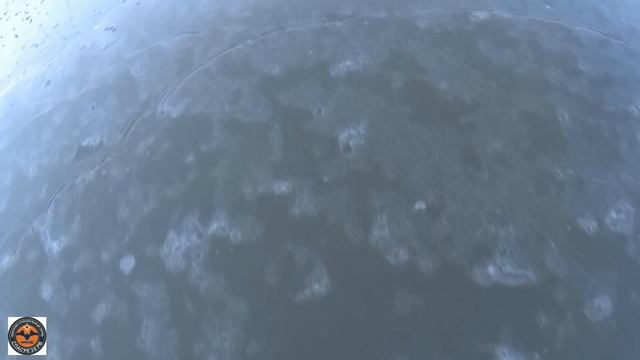 Frozen Duck. Замороженная утка.  "Центр" 25.11.17. смотреть онлайн