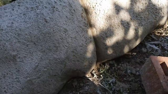 Как сделать бордюры для клумбы? Как обновить запущенную клумбу? смотреть онлайн