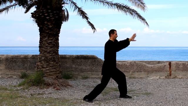 Чэньши лаоцзя и лу.11. Се син.(Положение после шага наискось) смотреть онлайн