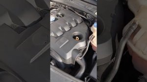 Сколько стоит заменить пыльник на Шрусе