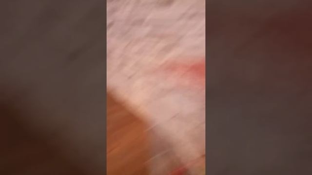 Милые попугайчики смотреть онлайн