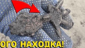 НЕВЕРОЯТНЫЕ НАХОДКИ на ЗАТОПЛЕННЫХ СЕЛАХ! Ушла Вода, А Там ТАКОЕ! В Поисках Клада от Влада!