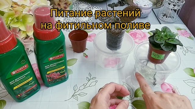 Все о фитильном поливе. Часть 2