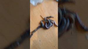 Гигантские дождевые черви!!!