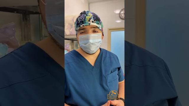 Энтеротомия. Достаём носок из кишечника собаки смотреть онлайн